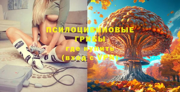 кокс Баксан