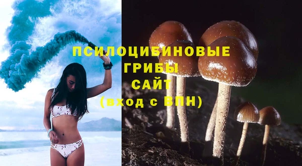 марки lsd Балабаново