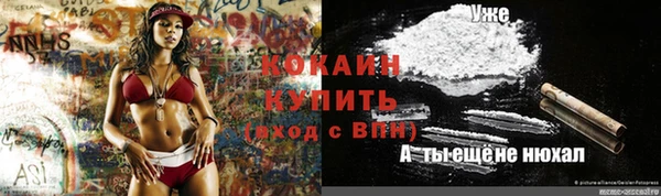 кокс Баксан