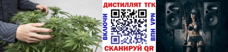 ТГК Wax  Усть-Джегута 
