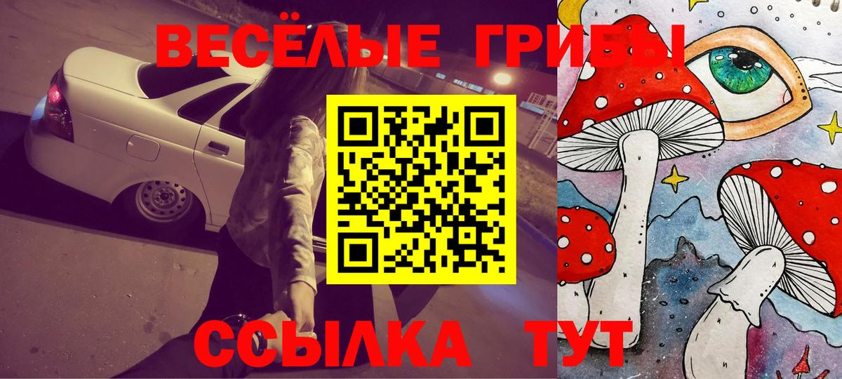 Усть-Джегута  Псилоцибиновые грибы Magic Shrooms  Псилоцибиновые грибы мухоморы  Вход с VPN 